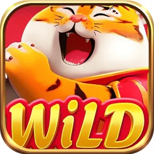 Fortune Tiger In - App